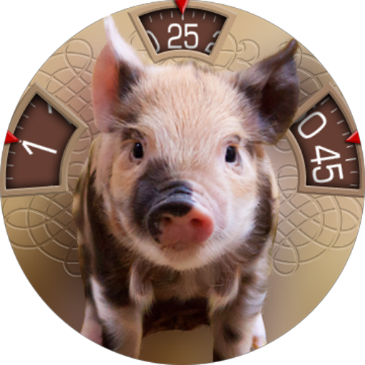 The Lucky Pig watch face